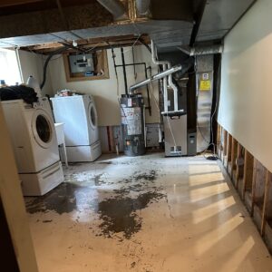 Dismantle Masters photo 5