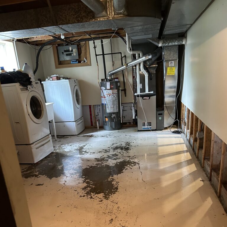 Dismantle Masters photo 7